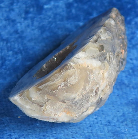 Akaattigeodi 12g Brasilia nro A10M