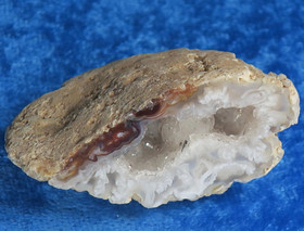 Akaattigeodi 29g Brasilia nro A10B