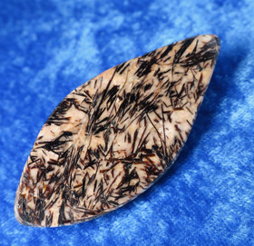 Rintakoru astrofylliitti