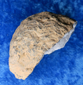 Akaattigeodi 56g Brasilia txm