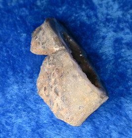 Akaattigeodi 42g Brasilia txh 