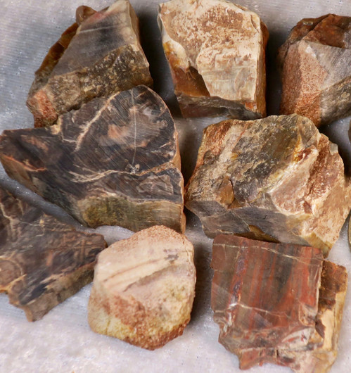 Kivettynyt puu raaka Madagaskar. Valitse koko 1-25g