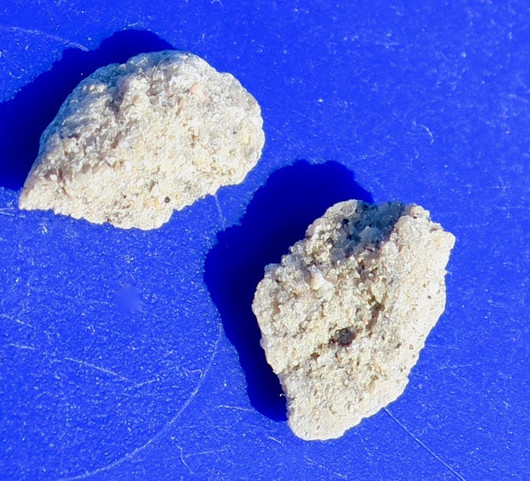 Hiekkaruusu  alle1g  aavikkoruusu Marokko