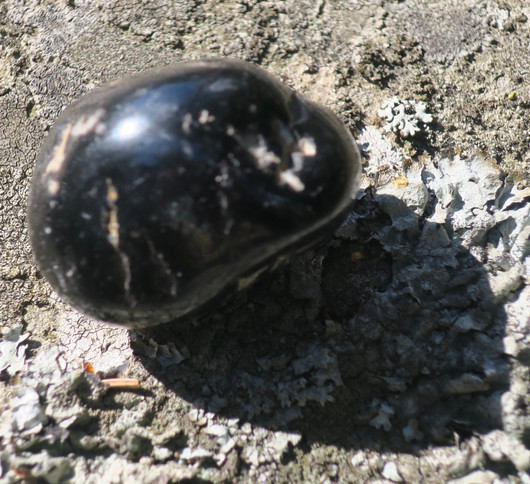 Onyksi rumpuhiottu 40x30x28mm jumbo 42g S Brasilia