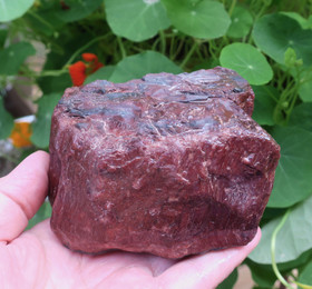 Häränsilmä iso raaka 93x65x68mm 945g Hi84b 