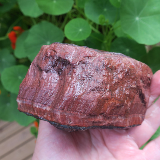 Häränsilmä iso raaka 93x65x68mm 945g Hi84b 