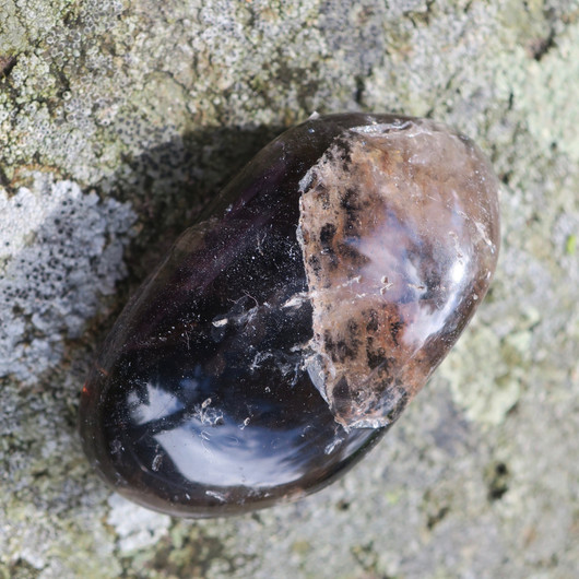 Savukvartsi  rumpuhiottu 33g 47x26x19mm jumbo morion Brasilia