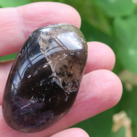 Savukvartsi  rumpuhiottu 33g 47x26x19mm jumbo morion Brasilia