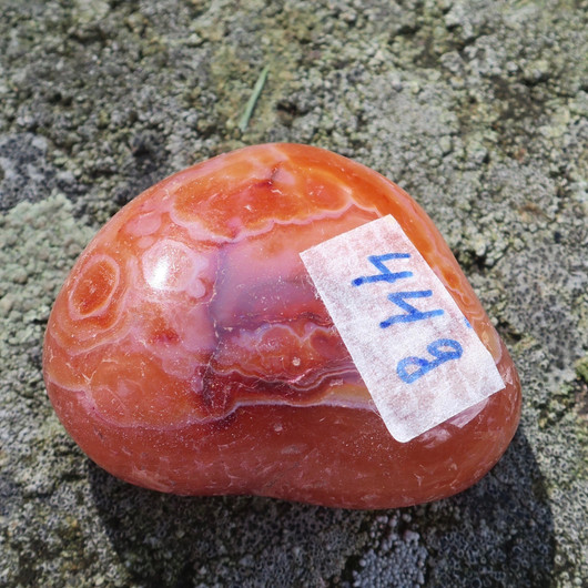 Karneoli 44g 44x34x20mm jumbo Brasilia