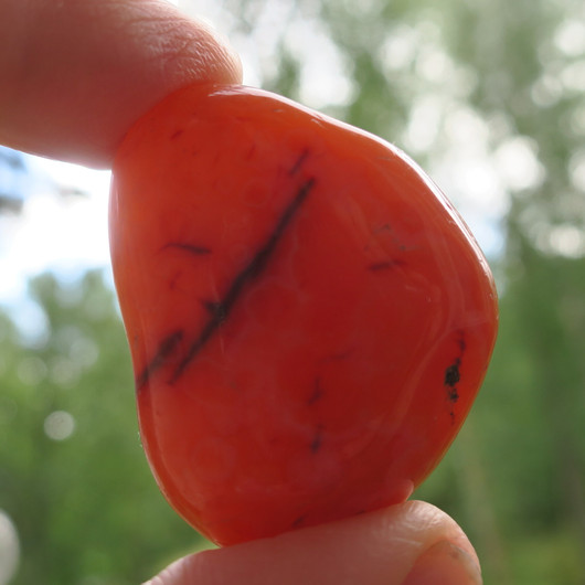 Karneoli 44g 44x34x20mm jumbo Brasilia