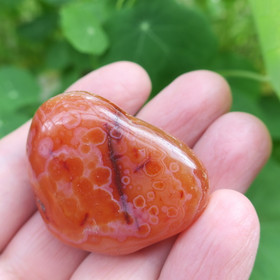 Karneoli 44g 44x34x20mm jumbo Brasilia