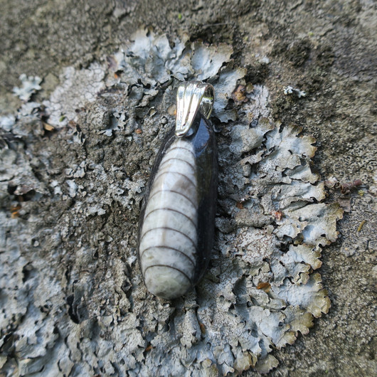 Riipus Orthoceras-oikosarvifossiili, iso riipuslenkki