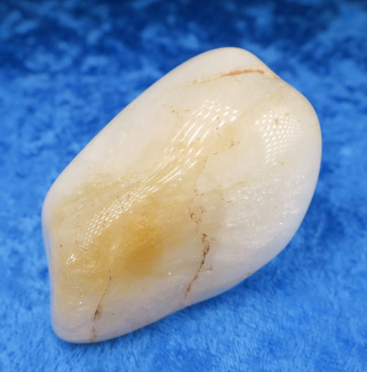 Sitriini rumpuhiottu 90g  Brasilia