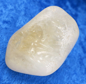 Sitriini rumpuhiottu 54g Brasilia