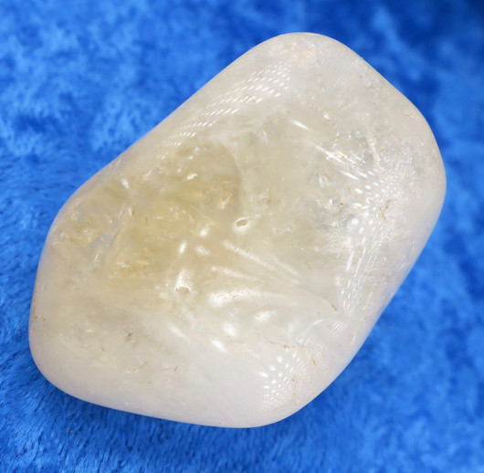 Sitriini rumpuhiottu 54g Brasilia