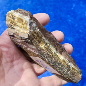 Tiikerinsilmä raaka 310g Etelä-Afrikka Ti310 ks. video