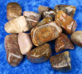 Kivettynyt puu rumpuhiottu. Valitse koko 2-50g