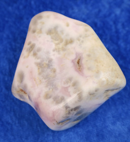 Valtamerijaspis rumpuhiottu 108g Madagaskar