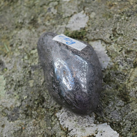 Hematiitti rumpuhiottu 141g 61x36x26mm Brasilia