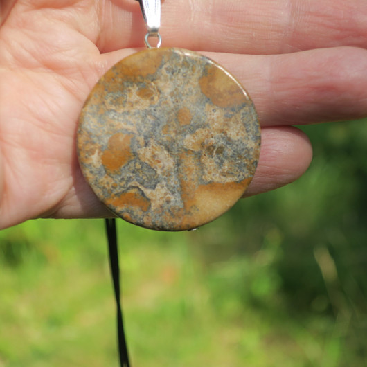 Riipus maisemajaspis kookas kiekko 40mm nro1