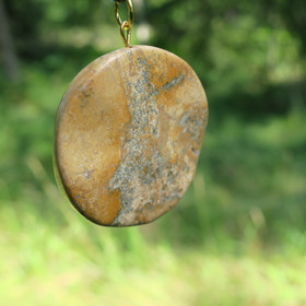 Riipus maisemajaspis kookas kiekko 40mm nro2