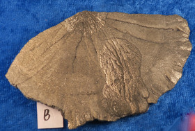 Markasiitti pala pyriittiaurinkoa 63g B1