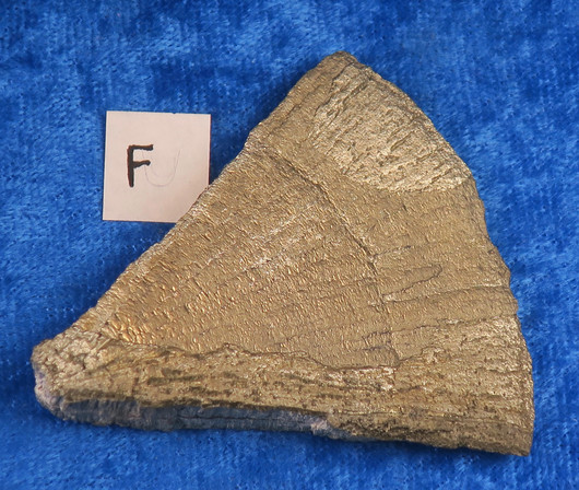 Markasiitti pala pyriittiaurinkoa 36g F3