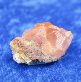 Tuliopaali raaka nro1 Meksiko