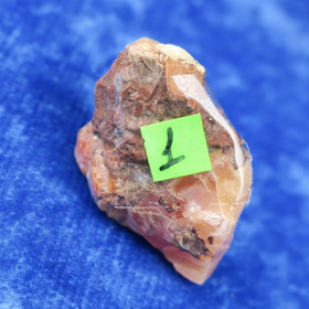 Tuliopaali raaka nro1 Meksiko