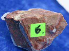 Tuliopaali raaka 5g nro6 Meksiko