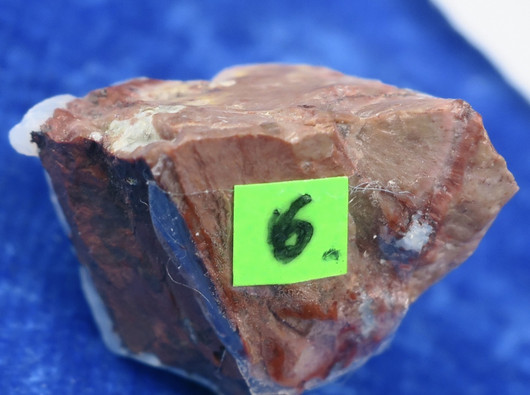 Tuliopaali raaka 5g nro6 Meksiko