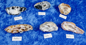 Akaattigeodi paino 7-8g nro baby1-6