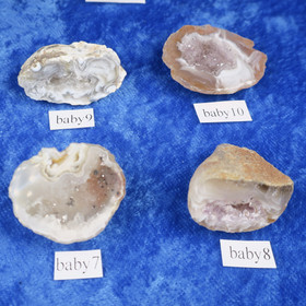 Akaattigeodi Brasilia paino 7-8g nro baby7-10