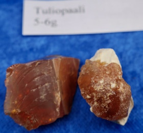 Tuliopaali raaka 5-6g Hi126