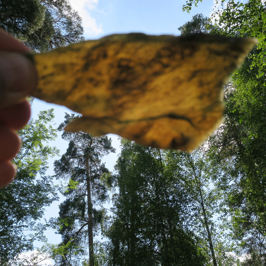 Jaloserpentiini siivu 110x60x6mm 80g Suomi S37