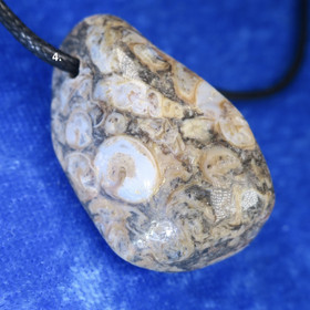 Riipus Turritella-akaatti etanafossiili 35mm porattu nro3-4