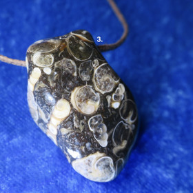 Riipus Turritella-akaatti etanafossiili 35mm porattu nro3-4