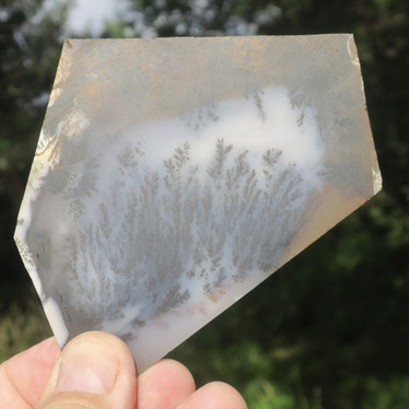 Dendriittiakaatti levy 108g 102x95x6mm jj5b