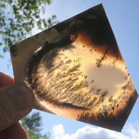 Dendriittiakaatti levy 68g  jj5a