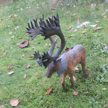 Veistos iso poro, korkeus 40cm, pituus 28-30cm, puuta