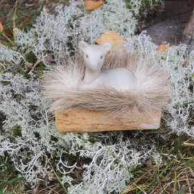 Poro makaa kelopuun ja poronkarvapalan päällä