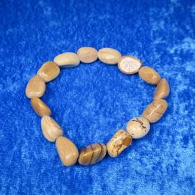 Rannekoru maisemajaspis, rumpuhiottu