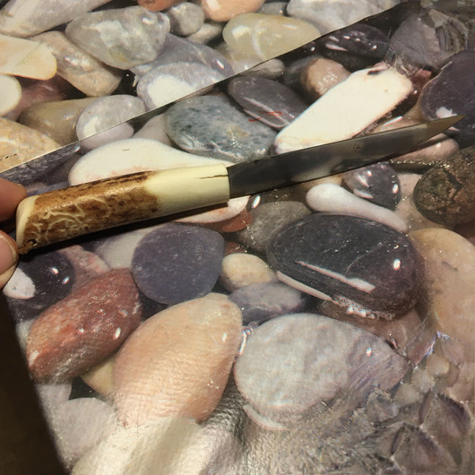 Hedelmäveitsi poronsarvikahvalla, johon kaiverrettu poron kuva, 17cm