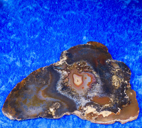 Dendriittiakaatti siivu 163g Hi77y