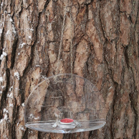 Muurlan seinälampetti leveys 25cm, korkeus 15cm ketjussa