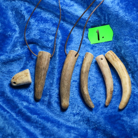 Riipus poronsarvi porattu natural sarvenpää 20mm. erä1 B-laatu