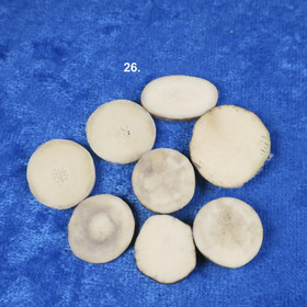 Poronsarvi siivu keskim 15mm, vahvuus 2-6mm Nro26