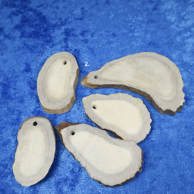 Poronsarvi  porattu, hiottu siivu pituus 4-6cm Nro2