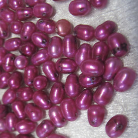 Fuksia 5x7mm makeanvedenhelmi irtohelmi nroB