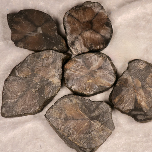 Kiastoliitti ristikivi raaka, hiomaton siivu. Valitse koko 20-60g